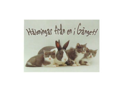 Vykort-nr-55C-(10) Vykort-nr-55C-(10)