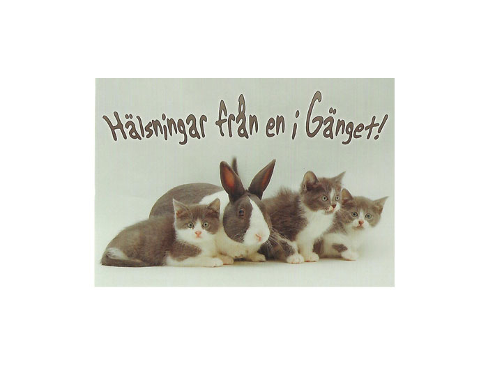 Vykort-nr-55C-(10) Vykort-nr-55C-(10)