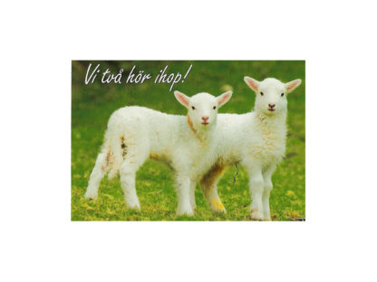 Vykort-nr-57B(19) Vykort-nr-57B(19)