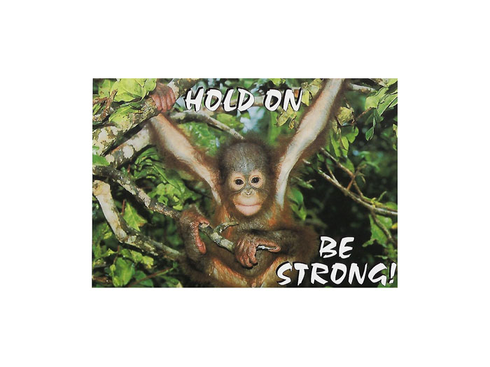 Vykort-nr-57H-(24) Vykort-nr-57H-(24)