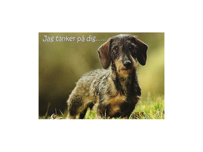 Vykort-nr-58A-(25) Vykort-nr-58A-(25)