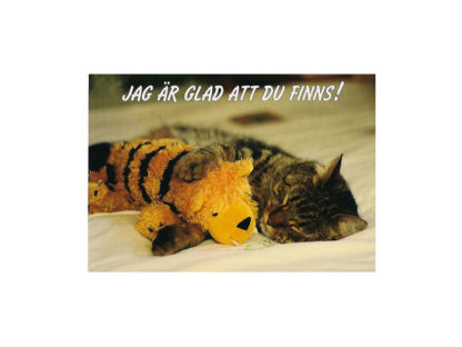 Vykort-nr-58F-(27) Vykort-nr-58F-(27)