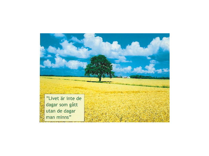 Vykort-nr-63C-(52) Vykort-nr-63C-(52)