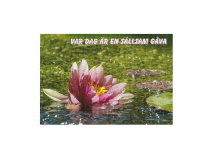 Vykort-nr-64E-(61) Vykort-nr-64E-(61)