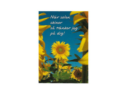 Vykort-nr-64H(62) Vykort-nr-64H(62)