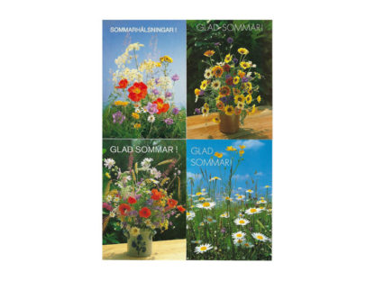 Vykort-nr-V.21-100st