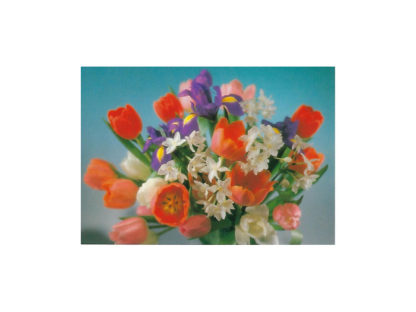 Vykort-nr-V.27B Vykort-nr-V.27B