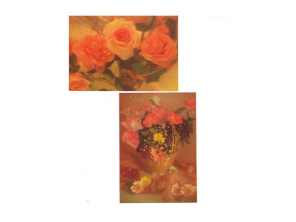 Vykort-nr-V.31-variant