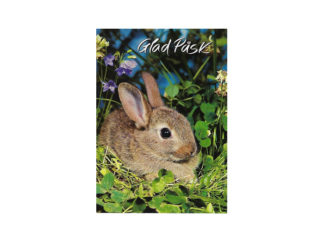 Påskvykort Nr.521C