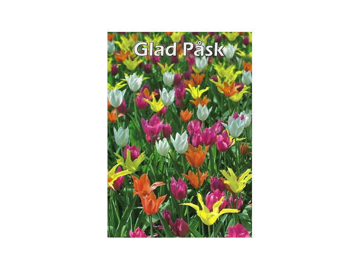 Påskvykort-nr.-521D Påskvykort-nr.-521D