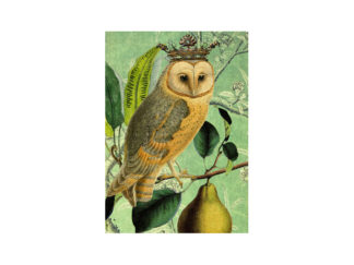 Dubbelt Kort M.T Whimsy RS003