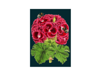 Dubbelt Kort M.T Botanical RS128