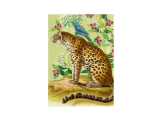 Dubbelt Kort M.T Whimsy RS150