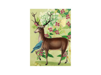 Dubbelt Kort M.T Whimsy RS153