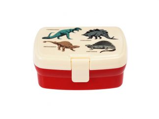 Lunchbox Tray Dinosaur