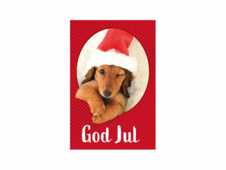 Dubbelt Kort Jul Nr. 223 Sedel