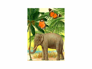 Dubbelt Kort M.T Whimsy RS105