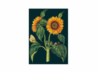 Dubbelt Kort M.T Botanical RS124