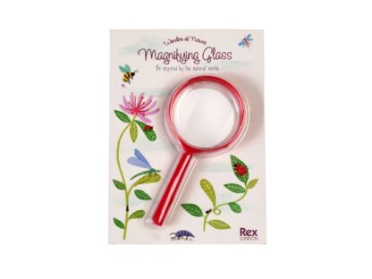 29355_1-wonders-nature-magnifying-glass
