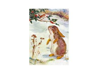 Dubbelt Kort M.T Christmas GT017 Glitter