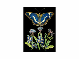 Dubbelt Kort M.T Botanical RS180