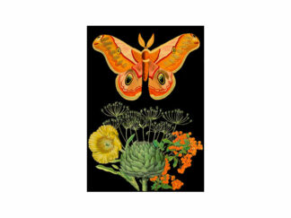 Dubbelt Kort M.T Botanical RS181