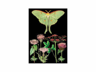 Dubbelt Kort M.T Botanical RS182