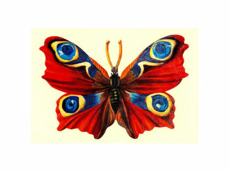 Bokmärkeskort Fjäril Röd 5099