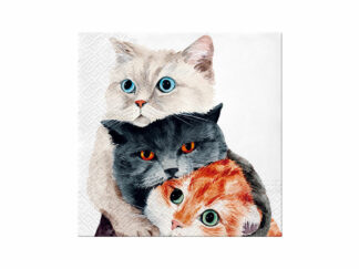 Servett Cats Better Together