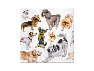 Servett Dogs Happiness