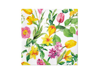 Servett Early Spring