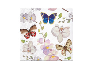 Servett Butterfly Orkidée
