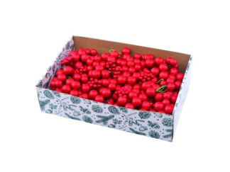 Röda Bär Mix (9666)