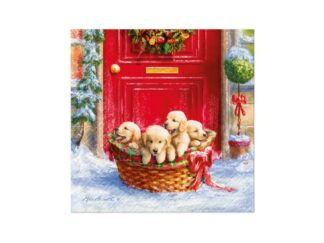Servett Christmas Puppies