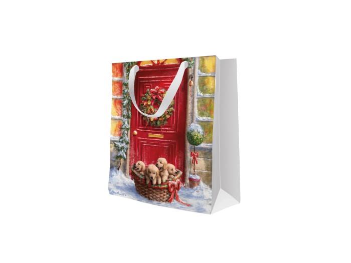 AGB2017503 AGB2017503