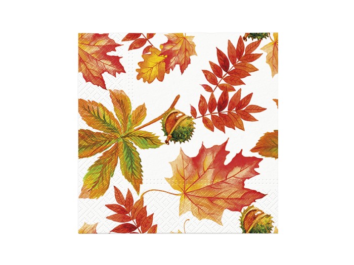 Servett Fall Colors