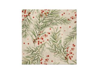 Servett We Care Springs Holly