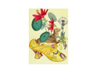 Dubbelt Kort M.T Whimsy RS224