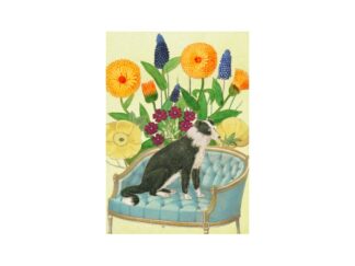 Dubbelt Kort M.T Whimsy RS226