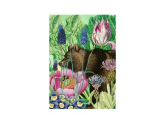 Dubbelt Kort M.T Whimsy RS232