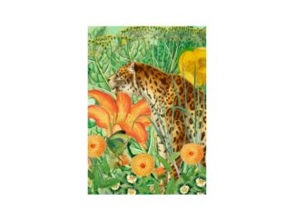 Dubbelt Kort M.T Whimsy RS233