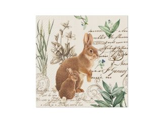 Servett Mystery Bunny