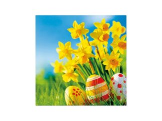 Servett Eggs & Daffodils