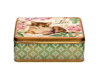 Rekt Skrin Nostalgia Kitten