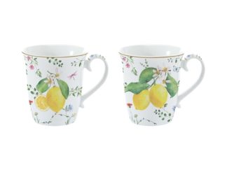 2-p Mugg i Box Fleurs et Citrons