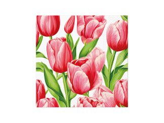 Servett Tulip Time