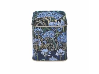 100 g Arts & Crafts Agapanthus