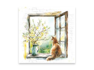 Servett Katt i Fönster