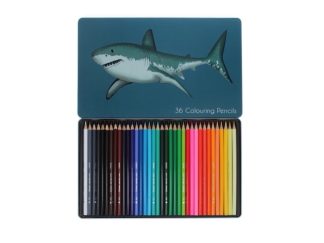Färgpennor 36-p Sharks