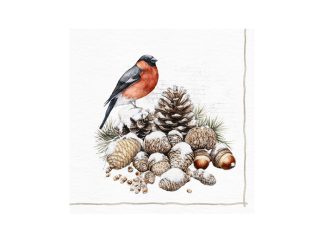 Servett Bullfinch & Cones